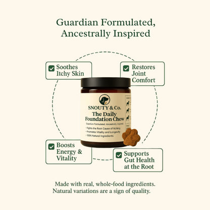 The Daily Foundation Chew™